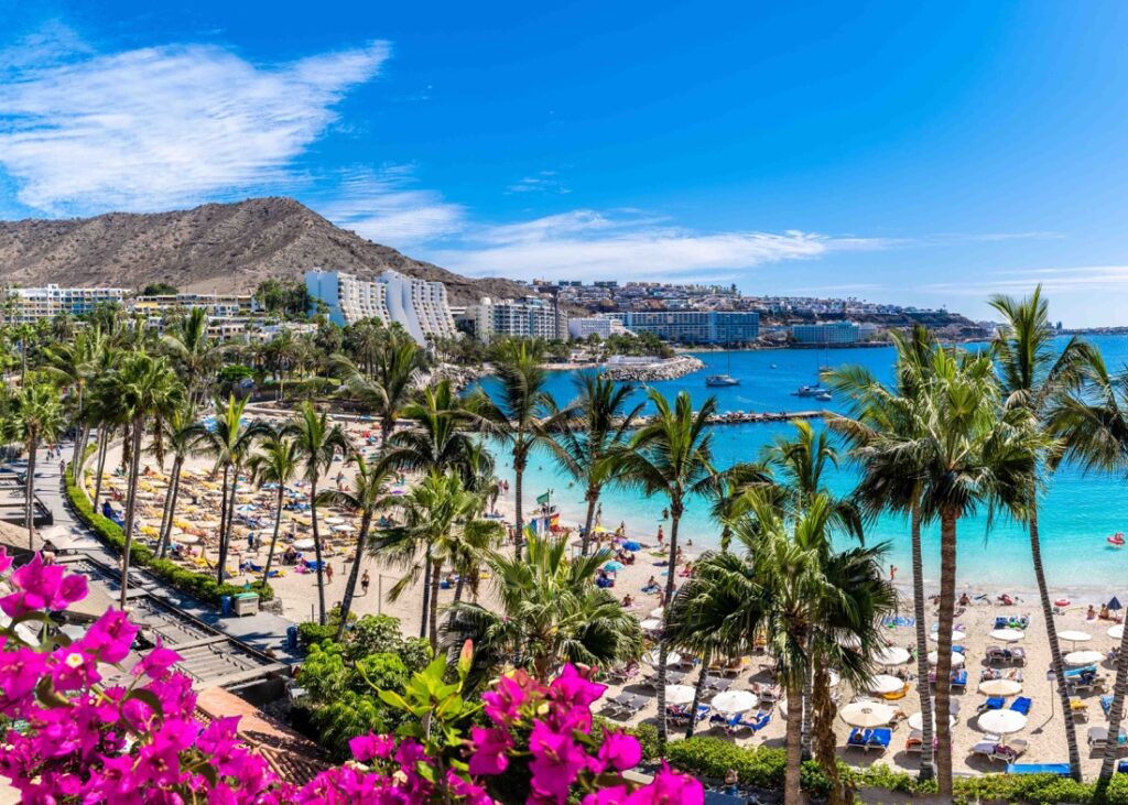 canarie