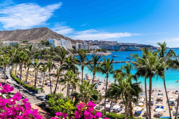 canarie