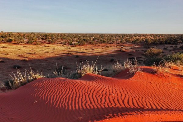 sabbia rossa durante un tramonto in Namibia